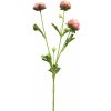 Květina pryskyřník - ranonculus růžový mini 68 cm (N926187)
