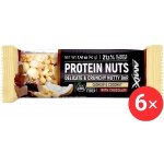 Amix Nutrition Protein Nuts Bar 6 x 40 g – Zbozi.Blesk.cz