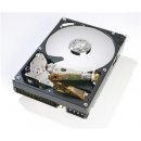 Hitachi Deskstar P7K500 250GB, SATAII, NCQ, 8MB, HDP725025GLA380