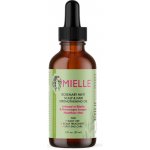 Mielle Rosemary Mint Scalp & Hair Strengthening Oil 59 ml – Hledejceny.cz