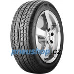 Sunny SN3830 225/55 R19 99V – Hledejceny.cz