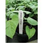 Garland Plant Label, bílé popisovací štítky, 15cm, 25ks – Hledejceny.cz
