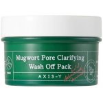 Axis y Mugwort Pore Clarifying Wash Off Pack 100 ml – Hledejceny.cz