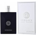 Versace Pour Homme Dylan Blue sprchový gel 250 ml – Hledejceny.cz
