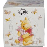 Medvídek Pú papírové kapesníčky s potiskem 3-vrstvé box 56 ks – Hledejceny.cz