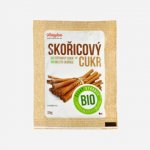 AMYLON Cukr skořicový 20 g – Zboží Dáma