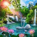 Norimpex Diamantový obrázek Labutě a lekníny 30x40 cm – Hledejceny.cz