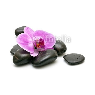 WEBLUX 32282499 Fototapeta vliesová Pink orchid and zen Stones on a white background Růžová orchidej a zen kameny na bílém pozadí rozměry 145 x 100 cm – Zboží Mobilmania