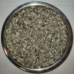 Avicentra Slunečnice žíhaná 1 kg – Zboží Dáma