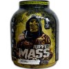 Gainer Skull Labs Ripped Mass 3000 g