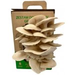 PLANTO Hlíva ústřičná 6 l (Pleurotus ostreatus) MUSHROOMS GROW KIT PO-6L-HU – Sleviste.cz