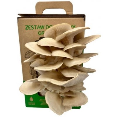 PLANTO Hlíva ústřičná 6 l (Pleurotus ostreatus) MUSHROOMS GROW KIT PO-6L-HU – Sleviste.cz