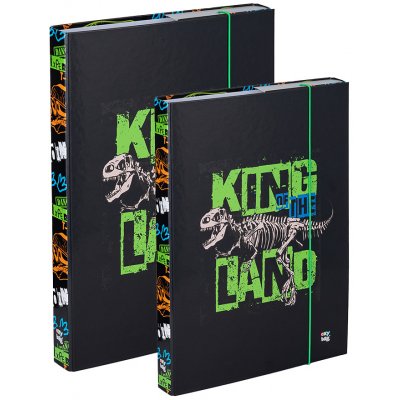 Karton P+P A4+A5 Premium Dinosaurus 0-056X25 – Zboží Dáma