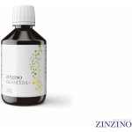 Zinzino BalanceOil+ Vegan 300 ml Citron – Hledejceny.cz