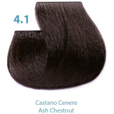 Silky Dressing barva na vlasy 4.1 100 ml