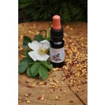 Olejářství Šípkový pleťový olej 2 ml – Zboží Dáma