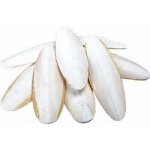 Tommi Kost Sépiová 1 kg – Zboží Dáma