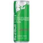 Red Bull Energetický nápoj Summer Cactus 250 ml – Zboží Dáma