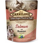 Carnilove Puppy Paté Salmon with Blueberries 300 g – Zbozi.Blesk.cz