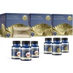 INCA COLLAGEN Tříměsíční kolagenová kúra 3 x 30 sáčků + vitamín C a vitamín D – Hledejceny.cz