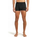 Icebreaker Mens Anatomica Boxers Black – Hledejceny.cz