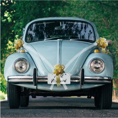 Chaks Chaks Dekorácia na auto s mašľami - Golden Bow – Zboží Dáma
