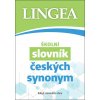 Školní slovník českých synonym a antonym - autorů kolektiv