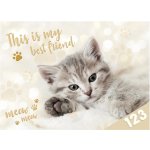 MFP Paper Desky na číslice Kočka – Sleviste.cz