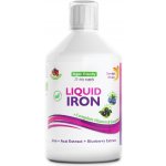 Swedish Nutra Liquid Iron tekuté železo s B-komplexem 500 ml – Hledejceny.cz
