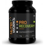NutriWorks Pro Recovery 1000 g – Zboží Dáma