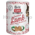 Brit Care Snack Superfruits Lamb Adult 100 g – Zboží Mobilmania