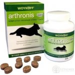 Arthronis fáze 2 60 tbl – Hledejceny.cz