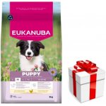 Eukanuba Puppy & Junior Medium Breed 3 kg – Hledejceny.cz
