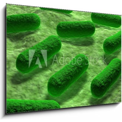 Obraz 1D - 100 x 70 cm - E coli Bacteria. Bakterie E coli. – Zbozi.Blesk.cz