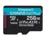 Kingston microSDXC 256GB Canvas Go Plus SDCG4/256GB – Zboží Živě
