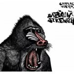 Baboon Strength - Digi - Hunter, Charlie – Hledejceny.cz