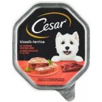 Cesar Adult Dog Klassik hovězí a játra 150 g – Sleviste.cz