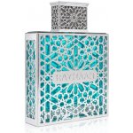 Rayhaan aquatica parfémovaná voda pánská 100 ml – Hledejceny.cz