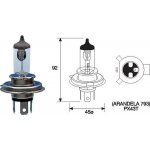 Bosch 1987302104 HS1 PX43t 12V 35W