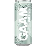 Gaam Kiwi 330 ml – Zboží Dáma