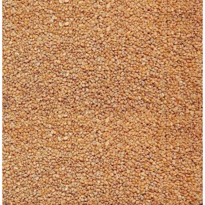 PetCenter písek oranžový 550 g – Zboží Dáma