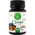 Zelená Země Chaga kapsle 60 ks – Hledejceny.cz