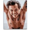 Malování podle čísla Malování podle čísel Harry Styles 01