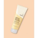 La Ferme Damage Pro Hair Treatment přípravek pro péči o vlasy 250 ml – Hledejceny.cz
