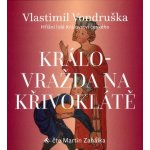 Vražda v ambitu - Hříšní lidé Království českého - Vlastimil Vondruška - čte Martin Zahálka – Hledejceny.cz