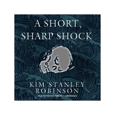Short, Sharp Shock - Robinson Kim Stanley, Garcia Paul Michael – Zboží Mobilmania