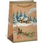 Argus Vánoční dárková taška NATUR - 10 x 16 cm - 0814-0091 – Zboží Živě