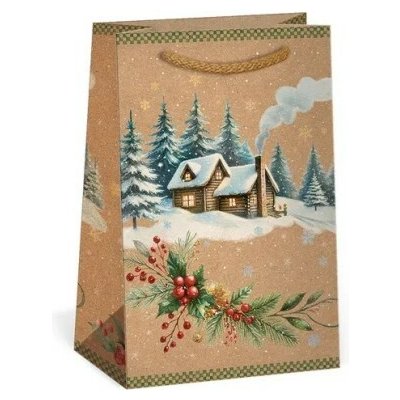 Argus Vánoční dárková taška NATUR - 10 x 16 cm - 0814-0091 – Zboží Živě