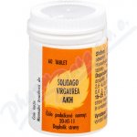AKH Solidago Virgaurea 60 tablet – Hledejceny.cz