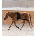 Waldhausen Bandáž pro lonžování – Zboží Dáma